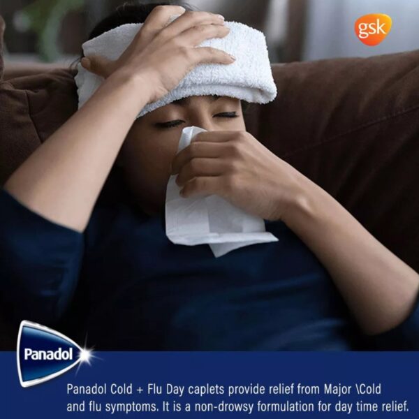 Panadol Cold+Flu Day Caplets 24's