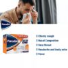 Panadol Cold+Flu All In One Tablets 24's