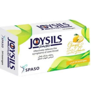 Joysils Lozenges Ginger & Lemon 24'S
