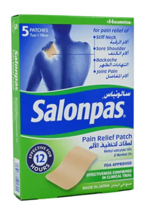 Salonpas Patch Large 25x2